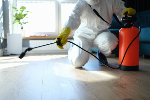 Reliable Biohazard contractor in Ashford, WA by Crime Scene Cleaner Online